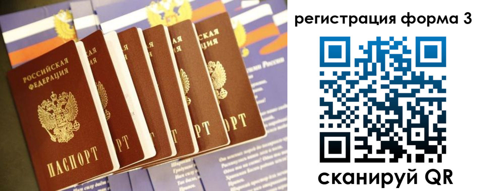 прописка штамп в Димитровграде